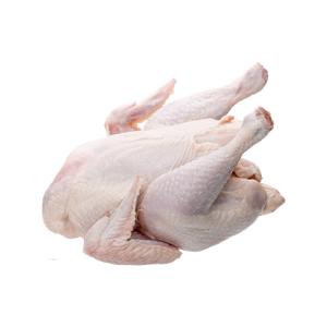 Chicken Meat